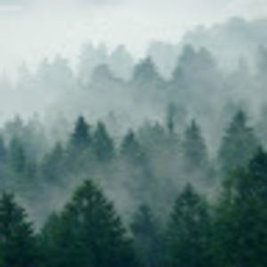 Meet your Posher, Ruo mei